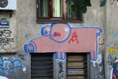 IMG 7556