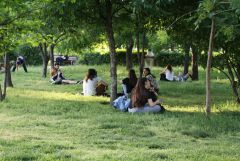 IMG_8371.JPG
