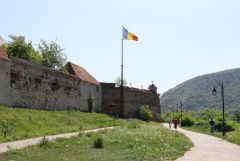 IMG_7327.JPG