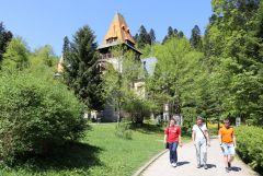 IMG 7537