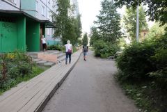 IMG_6232.JPG