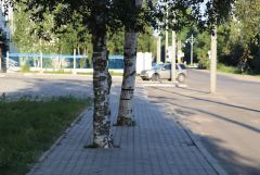 IMG_6184.JPG