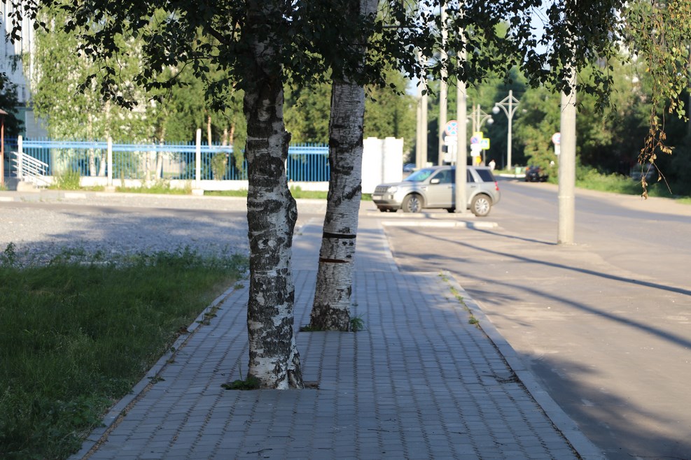 IMG_6184.JPG