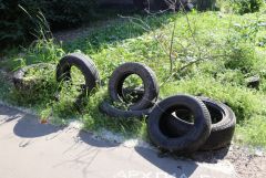 IMG 5667