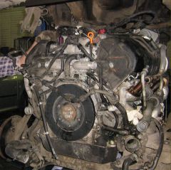 V10TDI