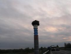 Москва-Киев-Москва