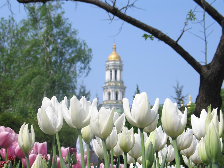 Москва - Киев - Москва