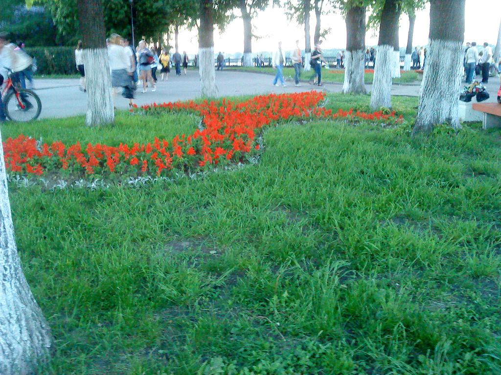 Ярославль