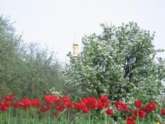 Москва - Киев - Москва