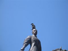 Москва - Киев - Москва