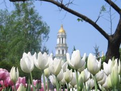 Москва - Киев - Москва