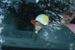 Фотографии kostik