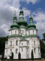 Густыня