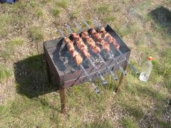 Шашлычки - II