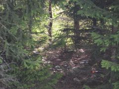 Шашлычки - V