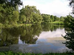 Шашлычки - V