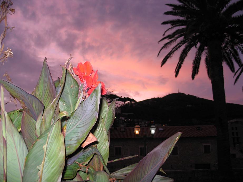 Черногория