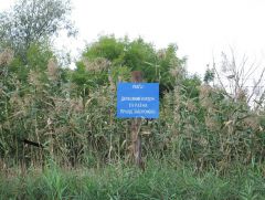 Румыния дорога