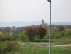 Анесси