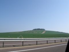 Анесси