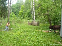 Себя показать и на других посмотреть