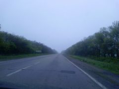 Выезд из города Чугуев и сосновый лес