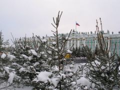 Питер