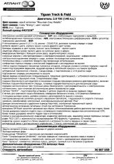 тигуан