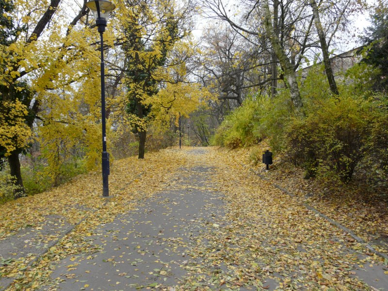 Пражская осень