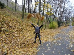 Пражская осень