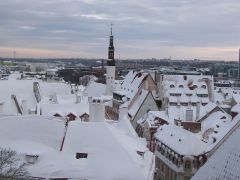 Таллин