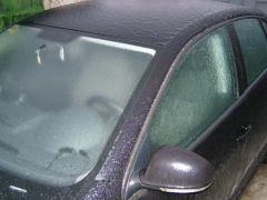 утро 24 января 2009