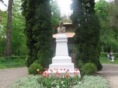 Черновцы