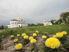 Дорога домой