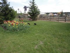 Дорога домой