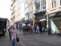 IMG 9366