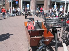 IMG 9378