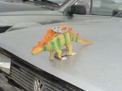 ФЕСТ 2011! Отжиг не по-детски!