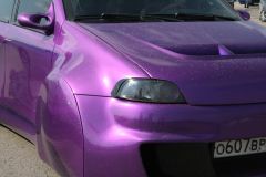 Volkswagen фестиваль. Сорочаны. 2011 г.