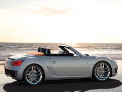 Volkswagen BlueSport