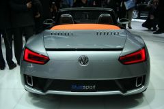 Volkswagen BlueSport