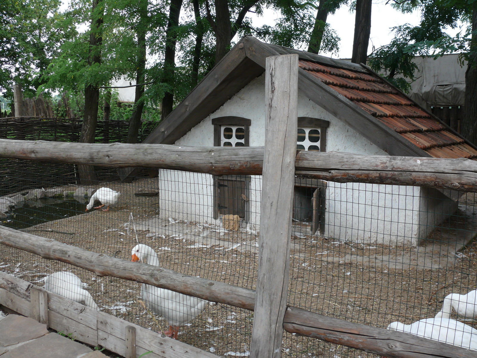 Конный театр