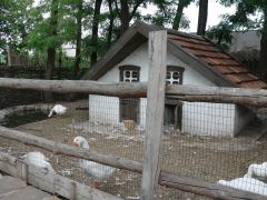 Конный театр