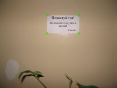 IMG 6299