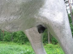 IMG 6294