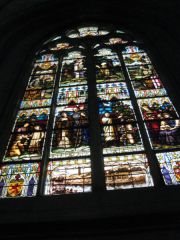 IMG 4610