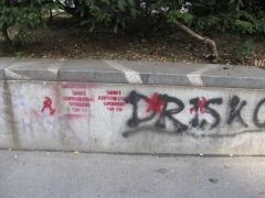 IMG 6352