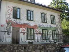 IMG 4908