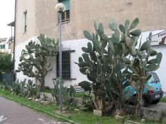 IMG 5727