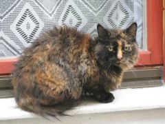 IMG 4577